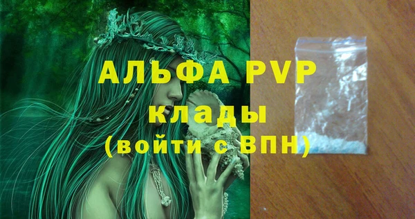 гашик Белокуриха