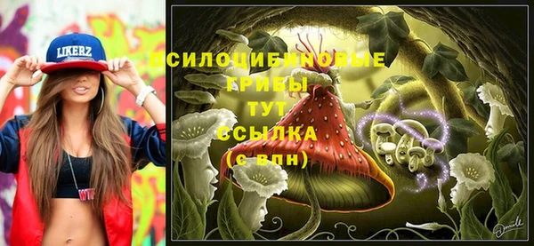 мяу мяу мука Богданович