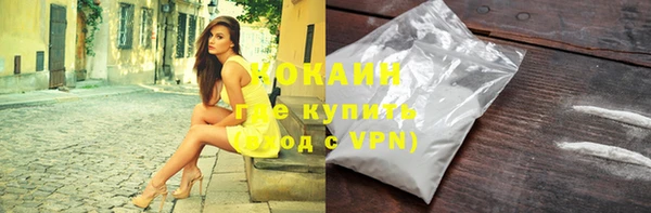 гашик Белокуриха