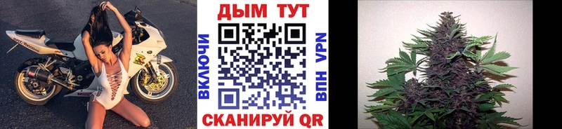 дарк нет клад  Губкинский  Шишки марихуана план  гидра как зайти 